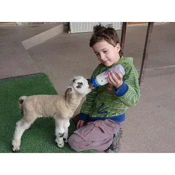 Chov hospodářského zvířete Mléčná krmná směs pro jehňata Telfid® J Acid 25 kg