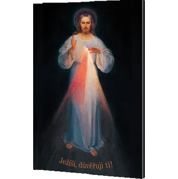 Podložka pod nábytek Obraz božího milosrdenství - plátno - 01 (20x30)