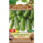 MoravoSeed Hermina F1 okurka nakládačka…