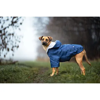 Obleček pro psa Vsepropejska Riska pláštěnka pro psa Barva: Modrá, Délka zad (cm): 41, Obvod hrudníku: 52 - 56 cm