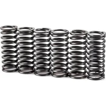 Spojková sada Pružiny spojky sada MOTION STUFF STF-501-5008