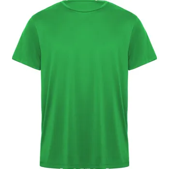 Pánské tričko Tričko ROLY DAYTONA, barva zelená, velikost 12 let