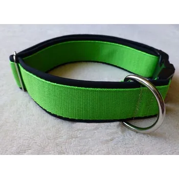 Obojek pro psa Obojek podšitý softsheelem šířka 3 cm - různé barvy