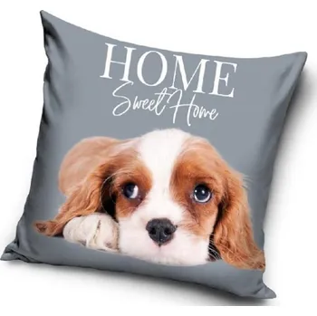 Povlak na dekorativní polštářek Povlak na polštářek 3D KING CHARLES ŠPANĚL SMUTNĚ KOUKÁM