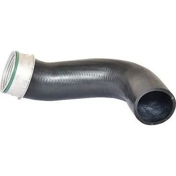 Turbodmychadlo Hadice plnícího vzduchu BUGIAD 81628