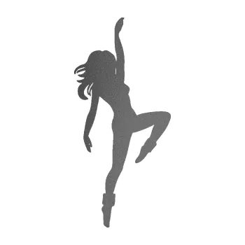 Samolepicí dekorace na vozidlo Aerobik 002 pravá (41 - grafitová metalíza) SAMOLEPKA NA AUTO, NÁLEPKA, FÓLIE, POLEP, TUNING, VLASTNÍ TEXT, TISK, AUTOSAMOLEPKY.cz, POLEPY, OBRÁZEK, LOGO, 3D STICKERS