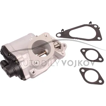 Váha vzduchu AGR / EGR ventil - MAGNETI MARELLI Renault Scenic II 2003 - 2009 1.9 dCi - F9Q