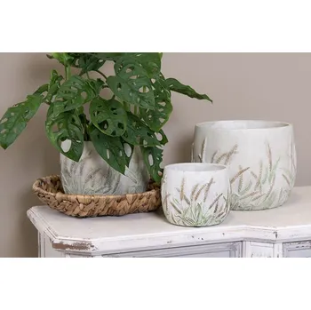 Zahrada Cementový obal na květináč s jitrocelem Plantain L - Ø20*20 cm