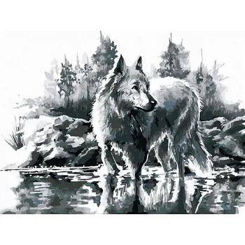 Bílý vlk, 40×50 cm, bez rámu a bez vypnutí plátna