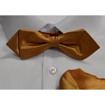 Motýlek Pánský motýlek s kapesníkem M5 - vzor 219