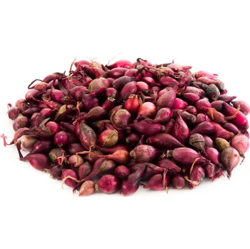 Cibulovina SEMO Karmen sazečka cibule vážená 250 g