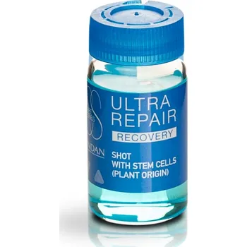 Vlasová regenerace Lendan Recovery Ultra Repair pro regeneraci vlasů 10 ml