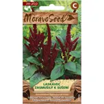 MoravoSeed Laskavec zasmušilý červený k…