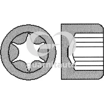 Spojovací materiál motoru Sada šroubů hlavy válce GUARNITAUTO 702507-1010