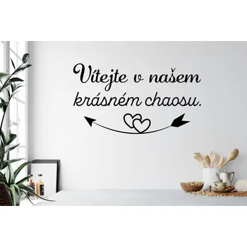 Samolepící dekorace Lepy.cz Samolepka na zeď Krásný chaos Velikost (šířka x výška): l20x66cm, Barevná varianta: Černá