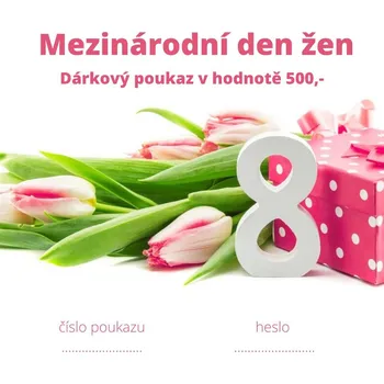 Pavel Trampota pt-servis Dárkový poukaz ptservis v hodnotě 500 Kč