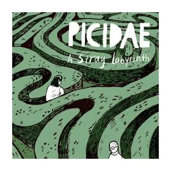 Zahraniční hudba CD Picidae: A Stray Labyrinth 2023