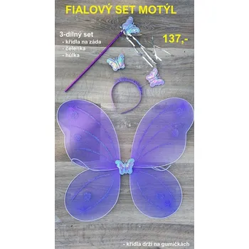 RC model auta FIALOVÝ SET MOTÝL