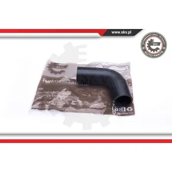 SKV Hadička plnicího vzduchu 43SKV055