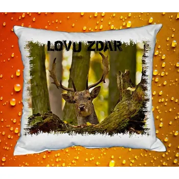 Dekorativní polštářek Polštářek pro myslivce č. 29