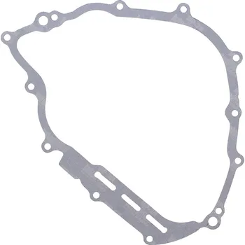 Těsnění motoru Těsnění víka zapalování WINDEROSA ICG 816267