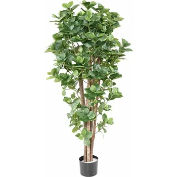 umělá květina Umělý strom Clusia deluxe, 150cm