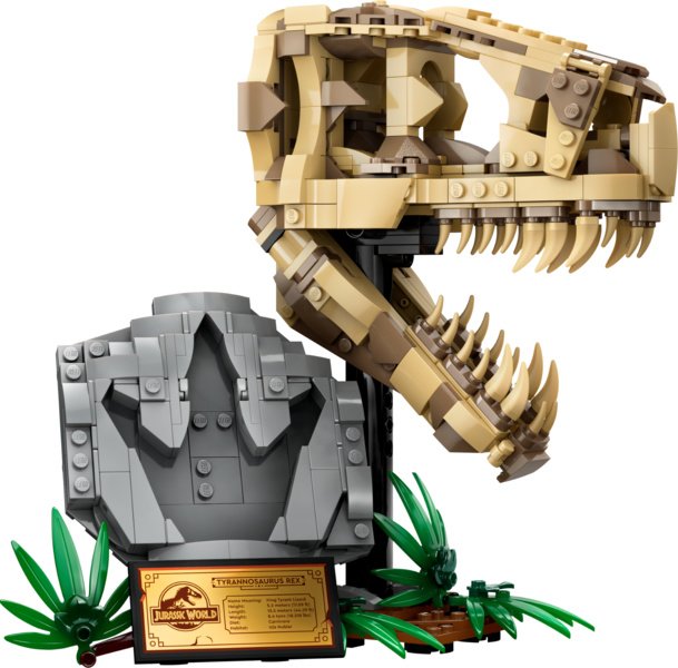 foto Stavebnice LEGO LEGO Jurassic World 76964 Dinosauří fosilie Lebka T-rexe