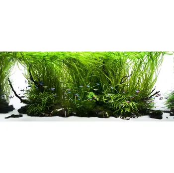 Akvarijní chemie Yokuchi startovací balíček pro akvaria do 600 litrů