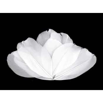 Husí peří délka 5,5-7 cm - bílá