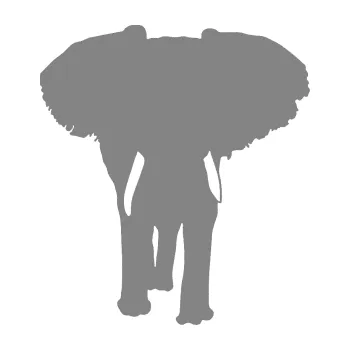 Samolepící dekorace SAMOLEPKA Slon 023 pravá (17 - šedá) NA AUTO, NÁLEPKA, FÓLIE, POLEP, TUNING, VLASTNÍ TEXT, TISK, AUTOSAMOLEPKY.cz, POLEPY, OBRÁZEK, LOGO, SAMOLEPKY