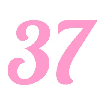 Polep vozidla Startovní číslo 37 typ 3 (24 - světle růžová) SAMOLEPKA NA AUTO, NÁLEPKA, FÓLIE, POLEP, TUNING, VLASTNÍ TEXT, TISK, AUTOSAMOLEPKY.cz, POLEPY, OBRÁZEK, LOGO, 3D STICKERS