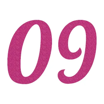 Polep vozidla Startovní číslo 09 typ 3 (90 - Ultra Metalic růžová) SAMOLEPKA NA AUTO, NÁLEPKA, FÓLIE, POLEP, TUNING, VLASTNÍ TEXT, TISK, AUTOSAMOLEPKY.cz, POLEPY, OBRÁZEK, LOGO, 3D STICKERS