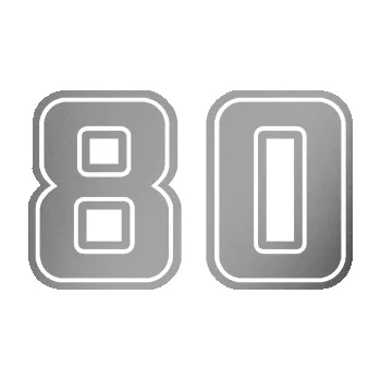 Polep vozidla Startovní číslo 80 typ 5 (42 - stříbrná metalíza) SAMOLEPKA NA AUTO, NÁLEPKA, FÓLIE, POLEP, TUNING, VLASTNÍ TEXT, TISK, AUTOSAMOLEPKY.cz, POLEPY, OBRÁZEK, LOGO, 3D STICKERS