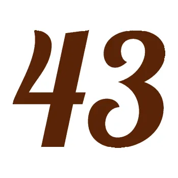 Polep vozidla Startovní číslo 43 typ 3 (15 - hnědá) SAMOLEPKA NA AUTO, NÁLEPKA, FÓLIE, POLEP, TUNING, VLASTNÍ TEXT, TISK, AUTOSAMOLEPKY.cz, POLEPY, OBRÁZEK, LOGO, 3D STICKERS