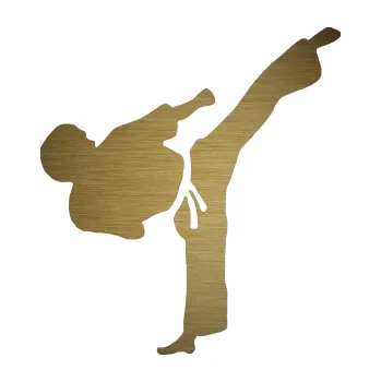 Autodoplněk Samolepka na auto Taekwondo 001 pravá (64 - škrábaný kov zlatý) NÁLEPKA, FÓLIE, POLEPY, TUNING, VLASTNÍ TEXT, TISK, AUTOSAMOLEPKY.cz, SAMOLEPKY, OBRÁZEK, LOGO, VÝROBA, PRODEJ