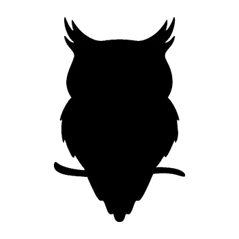 Samolepicí dekorace na vozidlo Sova 001 levá (01 - černá) SAMOLEPKA NA AUTO, NÁLEPKA, FÓLIE, POLEP, TUNING, VLASTNÍ TEXT, TISK, AUTOSAMOLEPKY.cz, POLEPY, OBRÁZEK, LOGO, 3D STICKERS