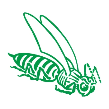 Samolepící dekorace Vosa 004 pravá (12 - zelená) SAMOLEPKA NA AUTO, NÁLEPKA, FÓLIE, POLEP, TUNING, VLASTNÍ TEXT, TISK, AUTOSAMOLEPKY.cz, POLEPY, OBRÁZEK, LOGO, 3D STICKERS