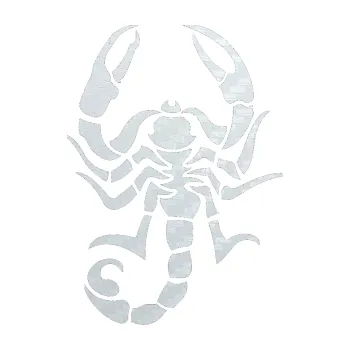 Polep vozidla SAMOLEPKA Štír 004 levá (51 - 3D karbon bílý) NA AUTO, NÁLEPKA, FÓLIE, POLEP, TUNING, VLASTNÍ TEXT, TISK, AUTOSAMOLEPKY.cz, POLEPY, OBRÁZEK, LOGO, SAMOLEPKY