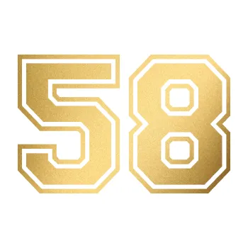 Polep vozidla Startovní číslo 58 typ 4 (43 - zlatá metalíza) SAMOLEPKA NA AUTO, NÁLEPKA, FÓLIE, POLEP, TUNING, VLASTNÍ TEXT, TISK, AUTOSAMOLEPKY.cz, POLEPY, OBRÁZEK, LOGO, 3D STICKERS