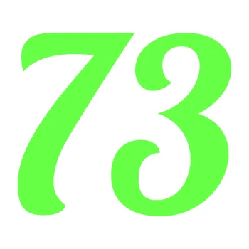 Polep vozidla Startovní číslo 73 typ 3 (71 - Fluorescentní zelená) SAMOLEPKA NA AUTO, NÁLEPKA, FÓLIE, POLEP, TUNING, VLASTNÍ TEXT, TISK, AUTOSAMOLEPKY.cz, POLEPY, OBRÁZEK, LOGO, 3D STICKERS