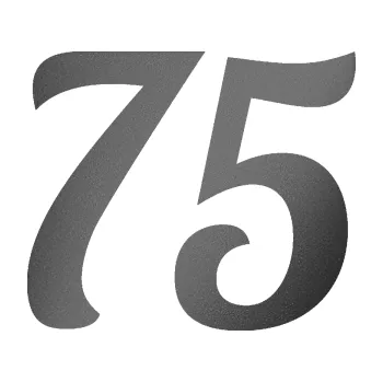 Polep vozidla Startovní číslo 75 typ 3 (41 - grafitová metalíza) SAMOLEPKA NA AUTO, NÁLEPKA, FÓLIE, POLEP, TUNING, VLASTNÍ TEXT, TISK, AUTOSAMOLEPKY.cz, POLEPY, OBRÁZEK, LOGO, 3D STICKERS