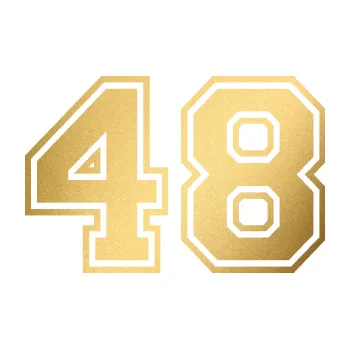 Polep vozidla Startovní číslo 48 typ 4 (43 - zlatá metalíza) SAMOLEPKA NA AUTO, NÁLEPKA, FÓLIE, POLEP, TUNING, VLASTNÍ TEXT, TISK, AUTOSAMOLEPKY.cz, POLEPY, OBRÁZEK, LOGO, 3D STICKERS