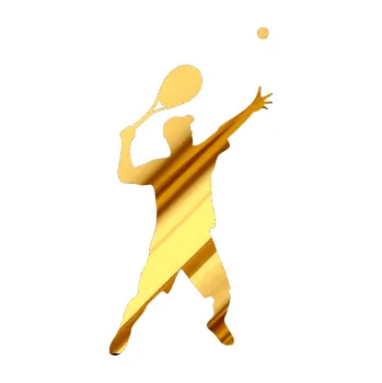 Polep vozidla Tenista 001 pravá (81 - chrom fólie zlatá zrcadlová) SAMOLEPKA NA AUTO, NÁLEPKA, FÓLIE, POLEP, TUNING, VLASTNÍ TEXT, TISK, AUTOSAMOLEPKY.cz, POLEPY, OBRÁZEK, LOGO, 3D STICKERS