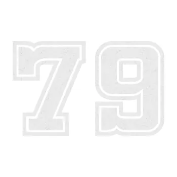 Polep vozidla Startovní číslo 79 typ 5 (84 - Ultra Metalic bílá) SAMOLEPKA NA AUTO, NÁLEPKA, FÓLIE, POLEP, TUNING, VLASTNÍ TEXT, TISK, AUTOSAMOLEPKY.cz, POLEPY, OBRÁZEK, LOGO, 3D STICKERS