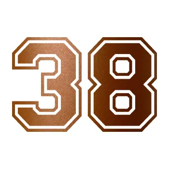 Polep vozidla Startovní číslo 38 typ 4 (44 - měděná metalíza) SAMOLEPKA NA AUTO, NÁLEPKA, FÓLIE, POLEP, TUNING, VLASTNÍ TEXT, TISK, AUTOSAMOLEPKY.cz, POLEPY, OBRÁZEK, LOGO, 3D STICKERS