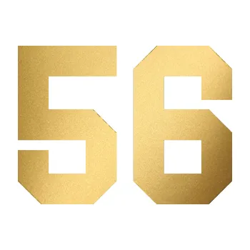 Polep vozidla Startovní číslo 56 (43 - zlatá metalíza) SAMOLEPKA NA AUTO, NÁLEPKA, FÓLIE, POLEP, TUNING, VLASTNÍ TEXT, TISK, AUTOSAMOLEPKY.cz, POLEPY, OBRÁZEK, LOGO, 3D STICKERS