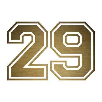 Polep vozidla Startovní číslo 29 typ 4 (64 - škrábaný kov zlatý) SAMOLEPKA NA AUTO, NÁLEPKA, FÓLIE, POLEP, TUNING, VLASTNÍ TEXT, TISK, AUTOSAMOLEPKY.cz, POLEPY, OBRÁZEK, LOGO, 3D STICKERS