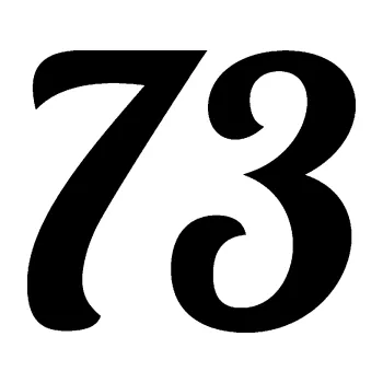 Polep vozidla Startovní číslo 73 typ 3 (01 - černá) SAMOLEPKA NA AUTO, NÁLEPKA, FÓLIE, POLEP, TUNING, VLASTNÍ TEXT, TISK, AUTOSAMOLEPKY.cz, POLEPY, OBRÁZEK, LOGO, 3D STICKERS