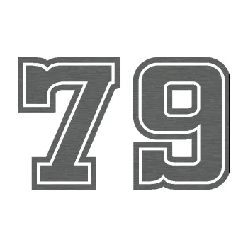 Polep vozidla Startovní číslo 79 typ 5 (62 - škrábaný titan) SAMOLEPKA NA AUTO, NÁLEPKA, FÓLIE, POLEP, TUNING, VLASTNÍ TEXT, TISK, AUTOSAMOLEPKY.cz, POLEPY, OBRÁZEK, LOGO, 3D STICKERS
