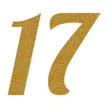 Polep vozidla Startovní číslo 17 typ 3 (92 - Ultra Metalic zlatá) SAMOLEPKA NA AUTO, NÁLEPKA, FÓLIE, POLEP, TUNING, VLASTNÍ TEXT, TISK, AUTOSAMOLEPKY.cz, POLEPY, OBRÁZEK, LOGO, 3D STICKERS